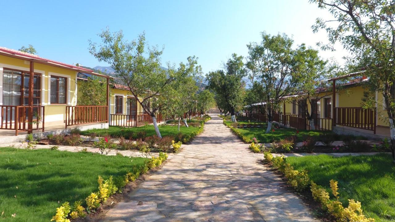 Selerdoga Evleri Hotel Palamutbuku Exterior photo